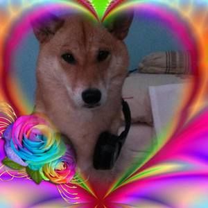 Meet your Posher, Jesus